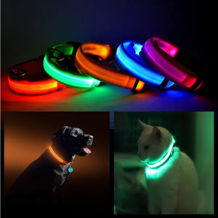 LED pet safety collar with glowing halo style, designed for visibility and security during nighttime walks.