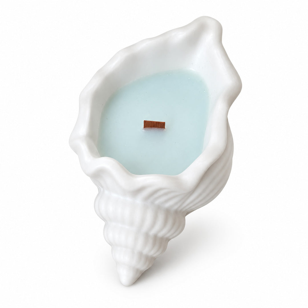 High Tide Soy Candle in Seashell Holder