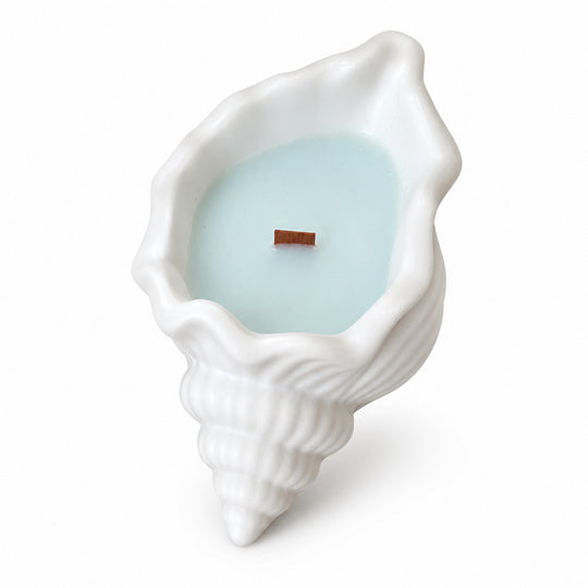 High Tide Soy Candle in Seashell Holder