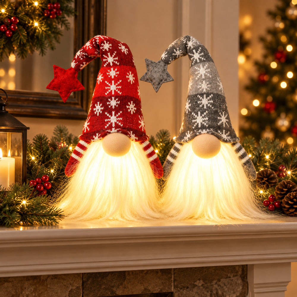 Lighted Christmas Gnome Set of 2