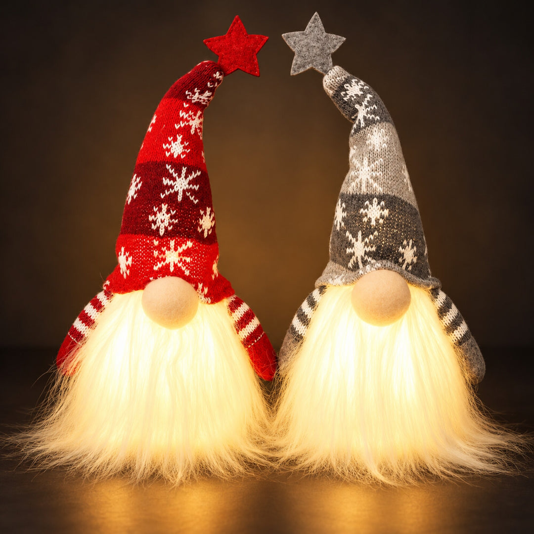 Lighted Christmas Gnome Set of 2