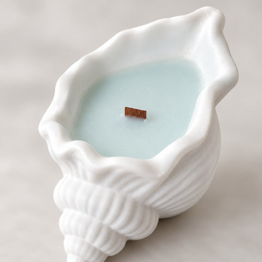 High Tide Soy Candle in Seashell Holder