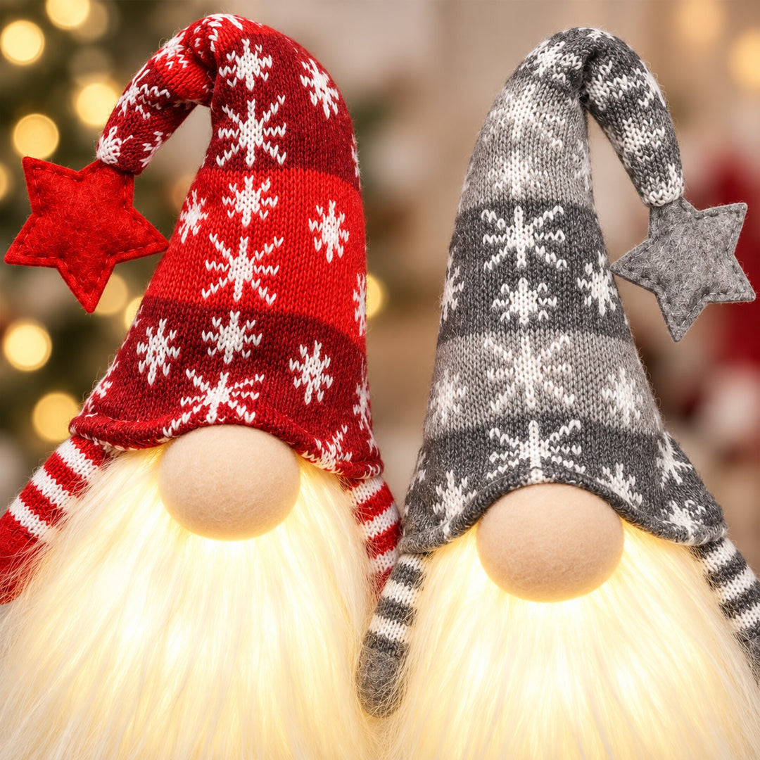 Lighted Christmas Gnome Set of 2