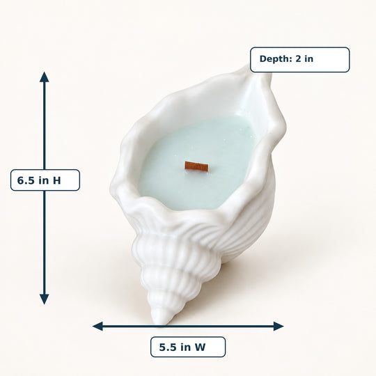 High Tide Soy Candle in Seashell Holder