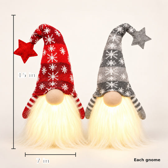 Lighted Christmas Gnome Set of 2