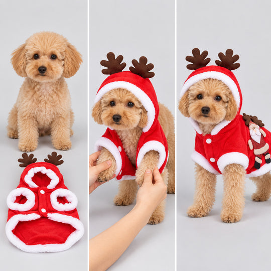 Santa Reindeer Christmas Pet Coat