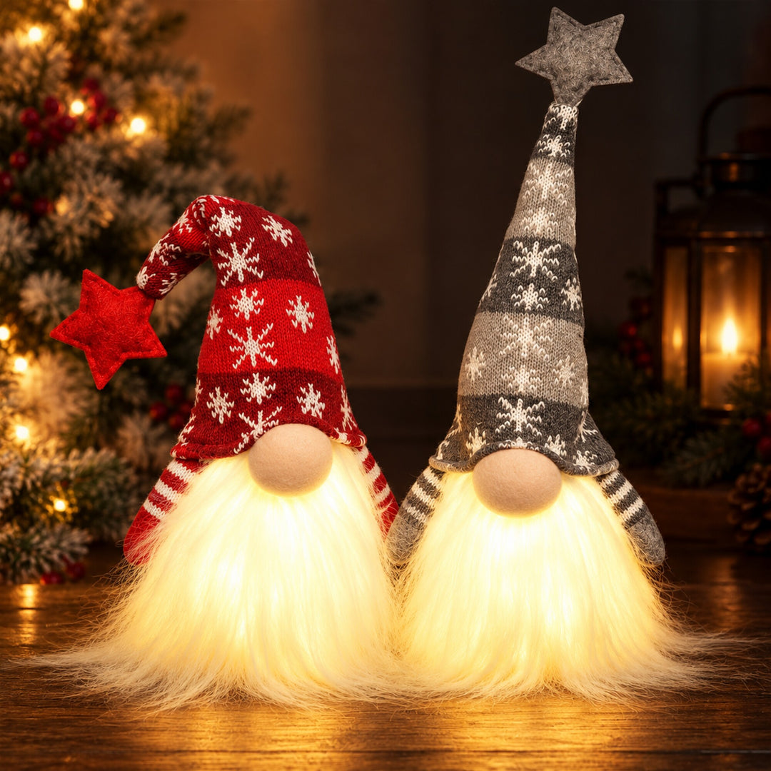 Lighted Christmas Gnome Set of 2