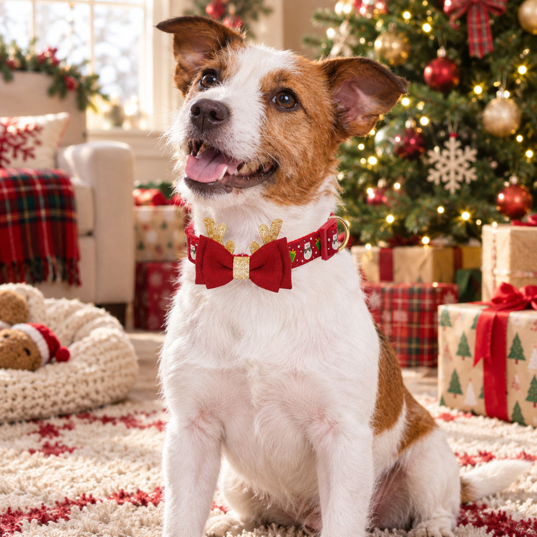 Christmas Dog Collar with Removable Antler Bow