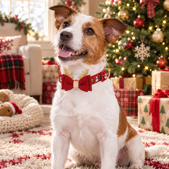 Christmas Dog Collar with Removable Antler Bow