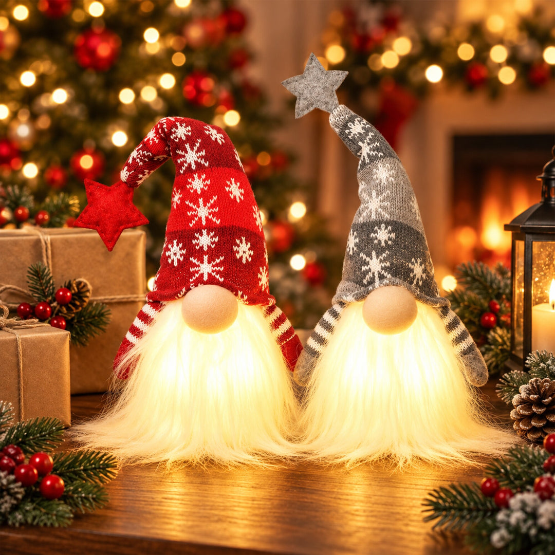 Lighted Christmas Gnome Set of 2