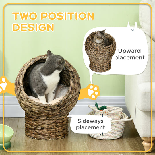 Elevated Wicker Cat Bed with Cushion