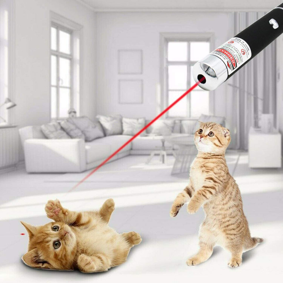 10-Pack 650nm Red Laser Pointer Pens