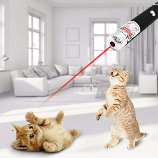 10-Pack 650nm Red Laser Pointer Pens