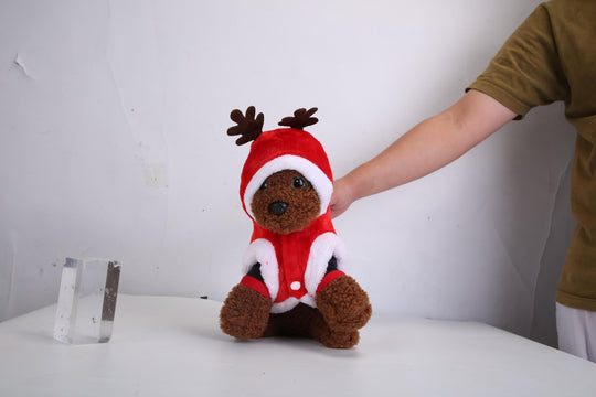 Santa Reindeer Christmas Pet Coat