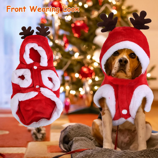 Santa Reindeer Christmas Pet Coat