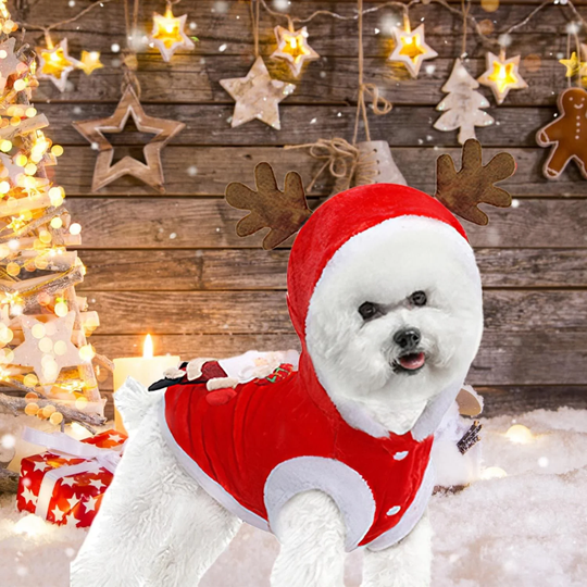 Santa Reindeer Christmas Pet Coat