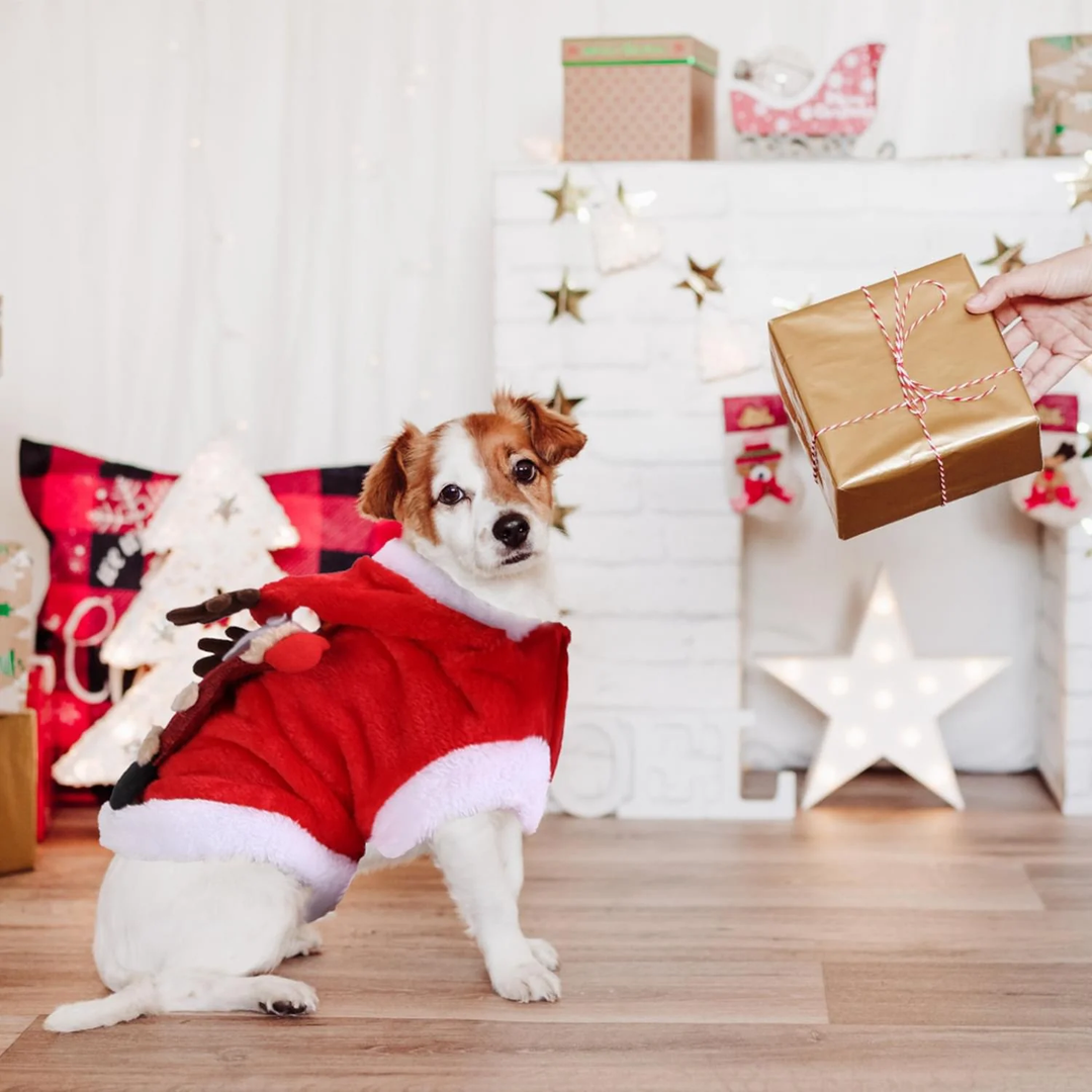 Santa Reindeer Christmas Pet Coat