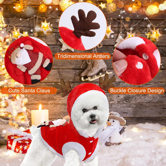 Santa Reindeer Christmas Pet Coat
