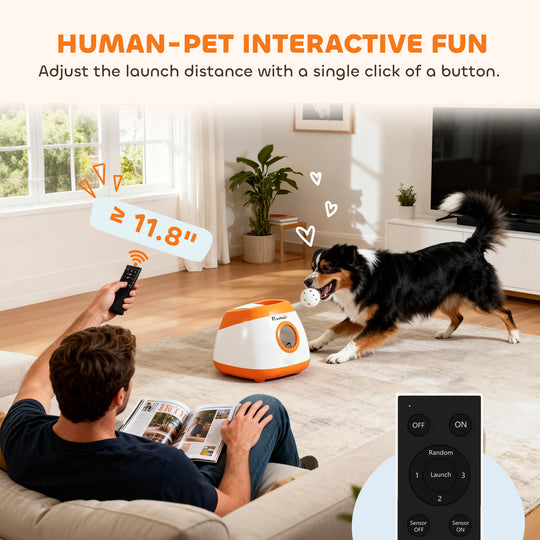 Automatic Dog Ball Launcher with 26–79-Foot Range