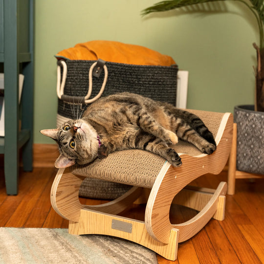 Wooden Rocking Cat Lounger &amp; Scratcher