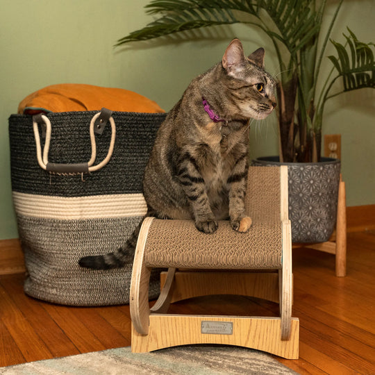 Wooden Rocking Cat Lounger &amp; Scratcher
