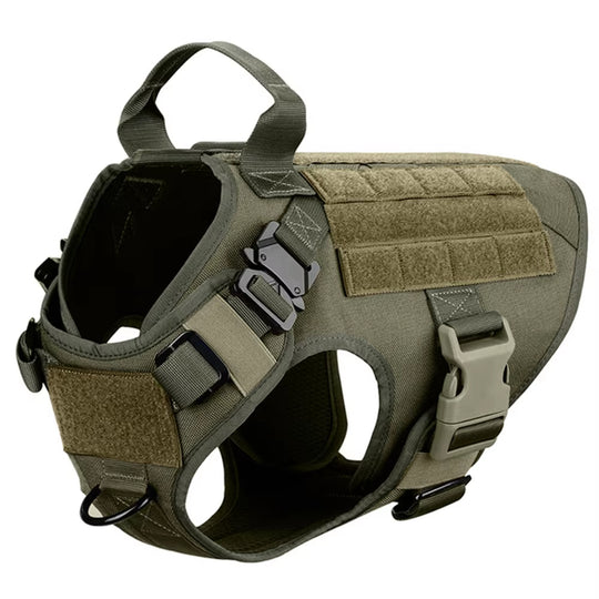 Camouflage Nylon Dog Harness &amp; Leash Set