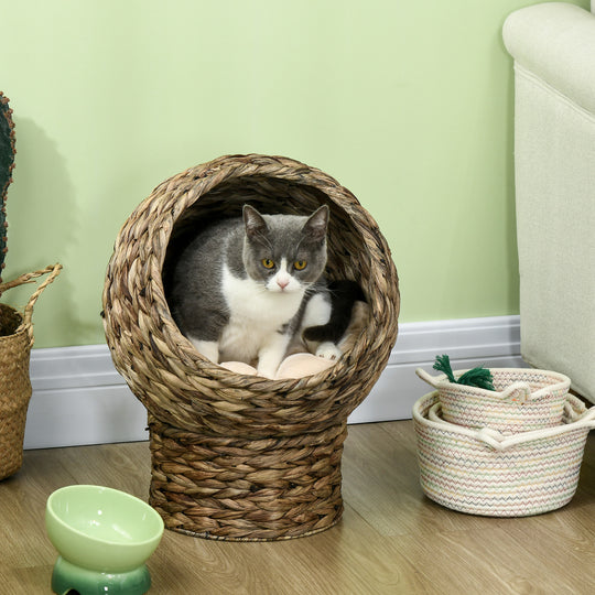 Elevated Wicker Cat Bed with Cushion