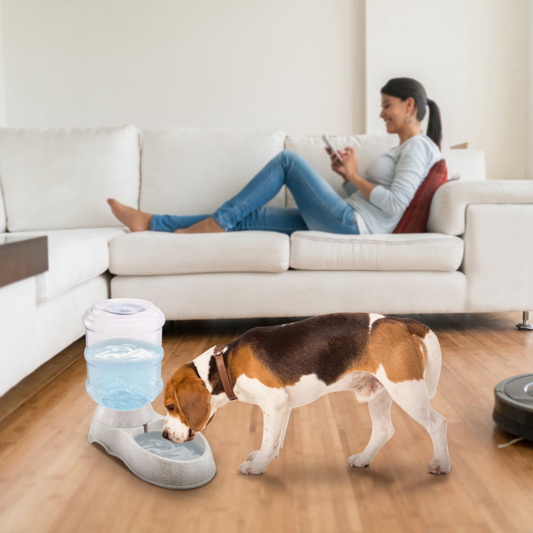1-Gallon Gravity Water Dispenser for Cats &amp; Dogs
