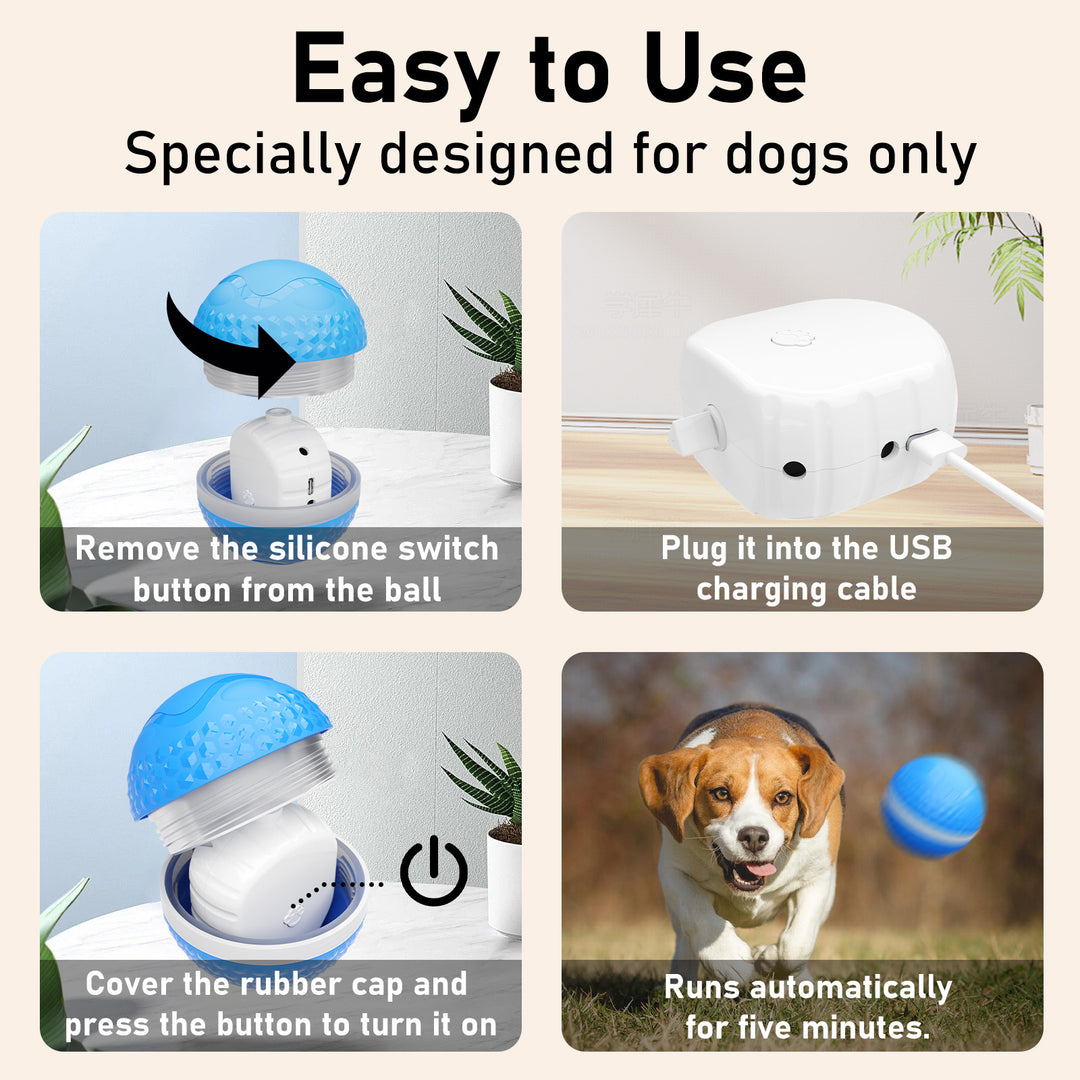 Motion-Activated Interactive Dog Ball