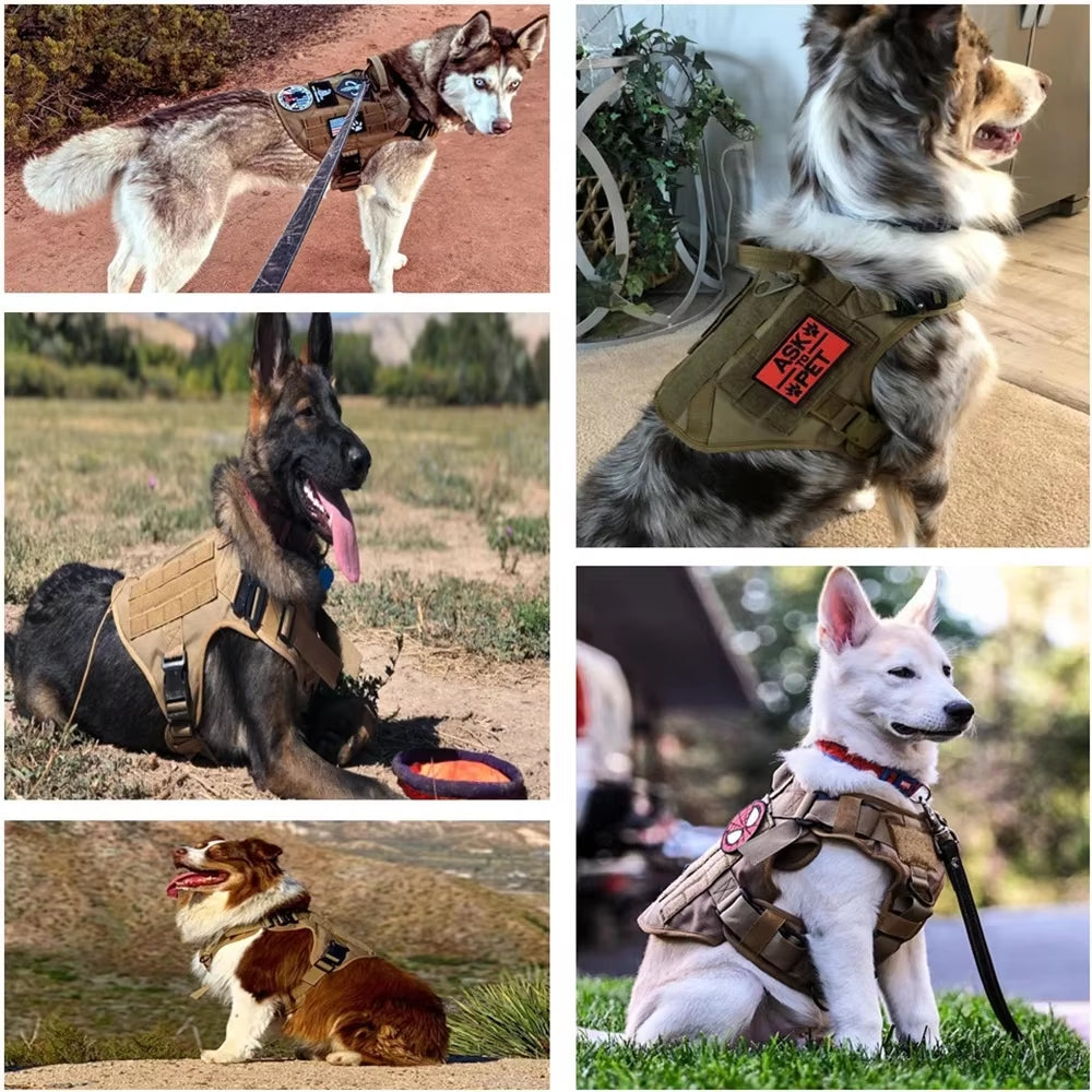 Camouflage Nylon Dog Harness &amp; Leash Set