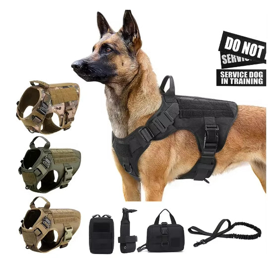 Camouflage Nylon Dog Harness &amp; Leash Set