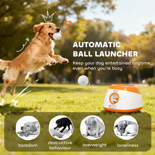 Automatic Dog Ball Launcher with 26–79-Foot Range