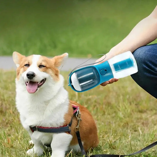Dog drinking from 3-in-1 pet water dispenser during outdoor walk