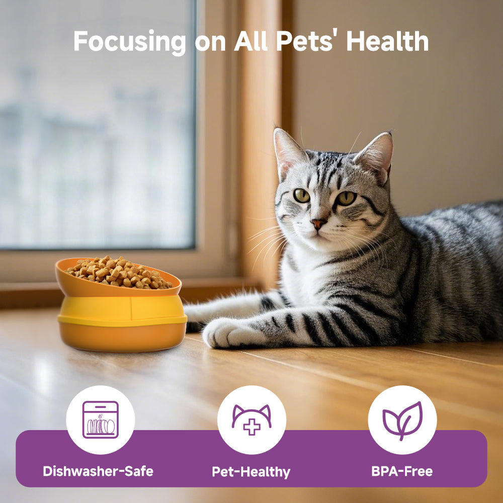 5-in-1 Hamburger-Style Pet Bowl Set
