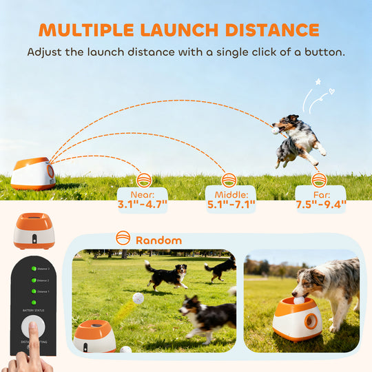 Automatic Dog Ball Launcher with 26–79-Foot Range
