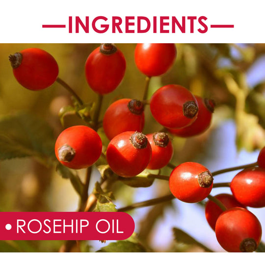 Rosehip Face, Body &amp; Hair Oil