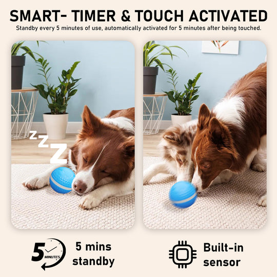 Motion-Activated Interactive Dog Ball