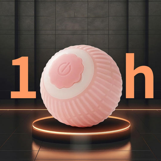 Interactive Rolling Cat Ball