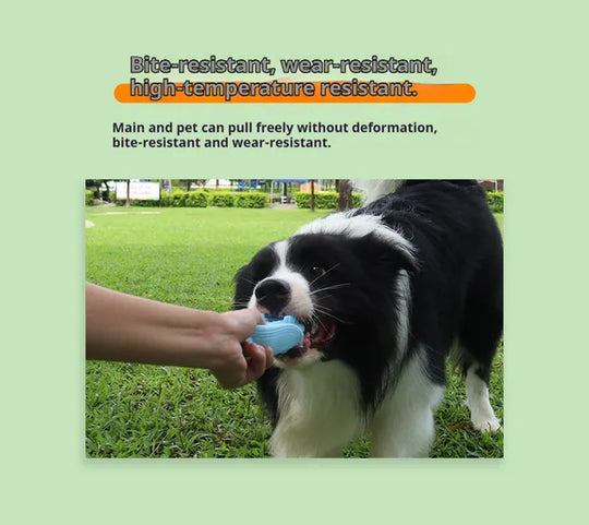 Silicone Corn Dog Chew &amp; Teething Toy