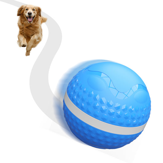 Motion-Activated Interactive Dog Ball
