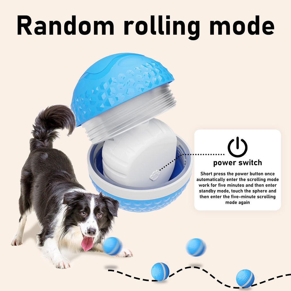 Motion-Activated Interactive Dog Ball