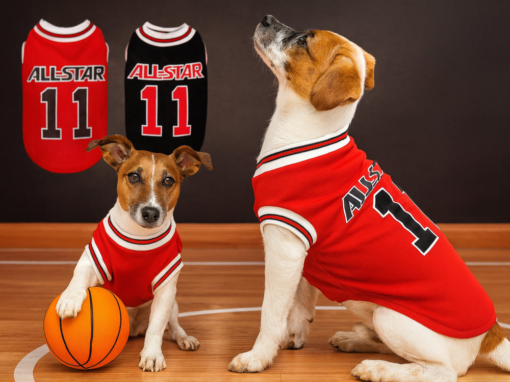 All-Star Dog Basketball Jersey