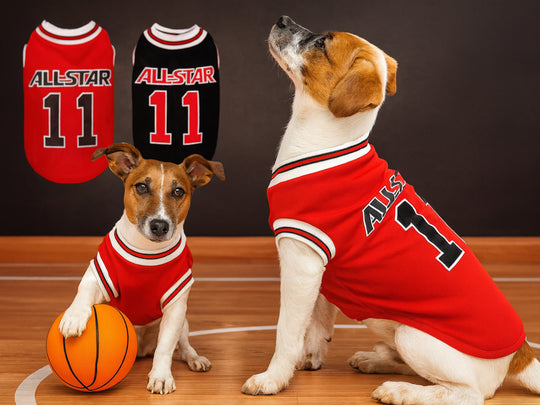 All-Star Dog Basketball Jersey