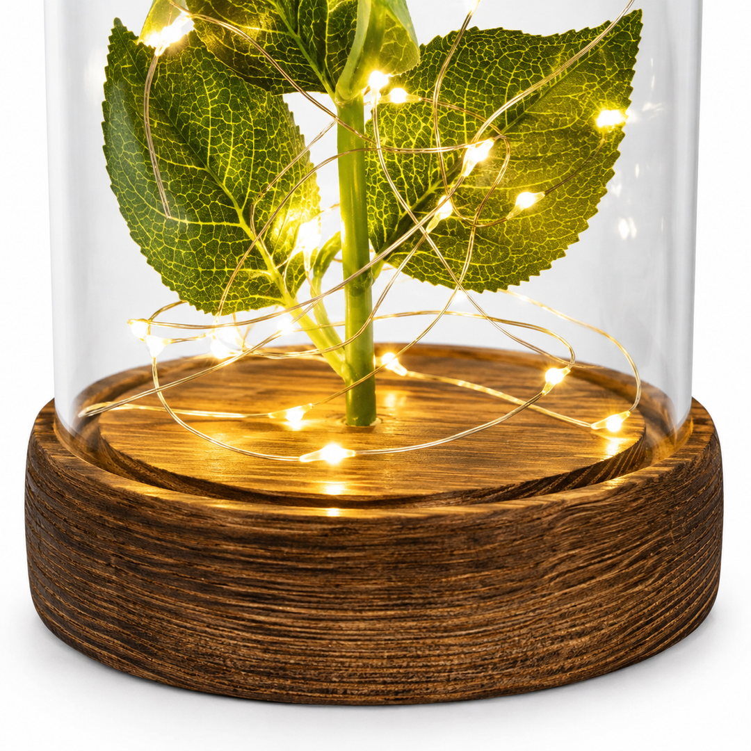 Forever Rose in Glass Dome with LED Lights