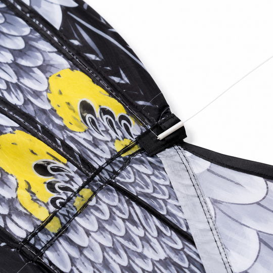 185cm Eagle Kite with Handle &amp; 30m Flying Line