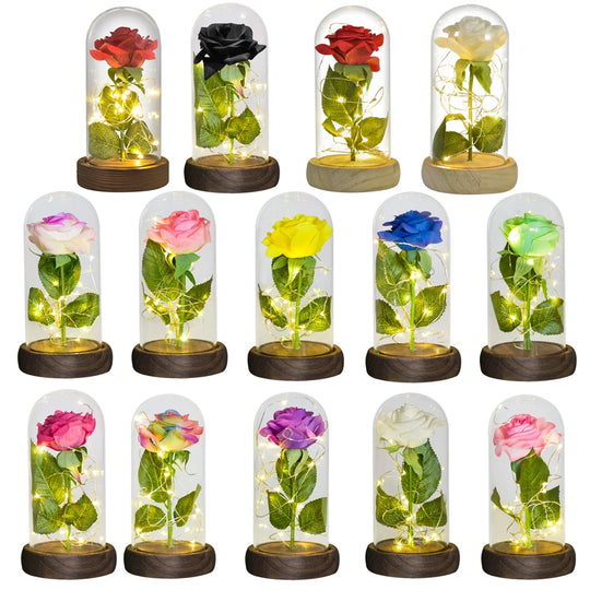 Forever Rose in Glass Dome with LED Lights