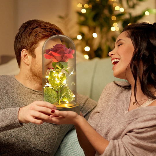 Forever Rose in Glass Dome with LED Lights