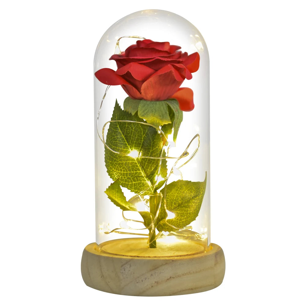 Forever Rose in Glass Dome with LED Lights
