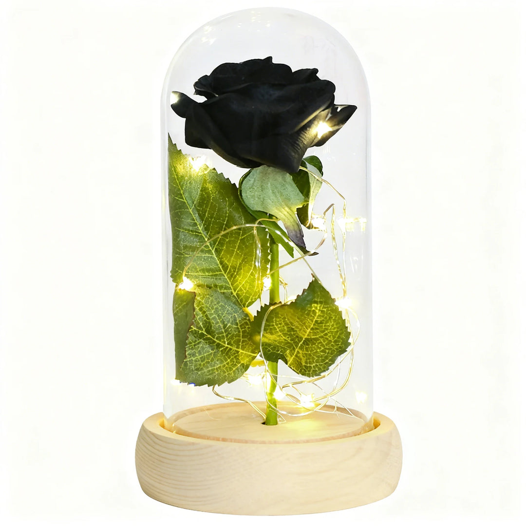 Forever Rose in Glass Dome with LED Lights