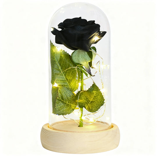 Forever Rose in Glass Dome with LED Lights